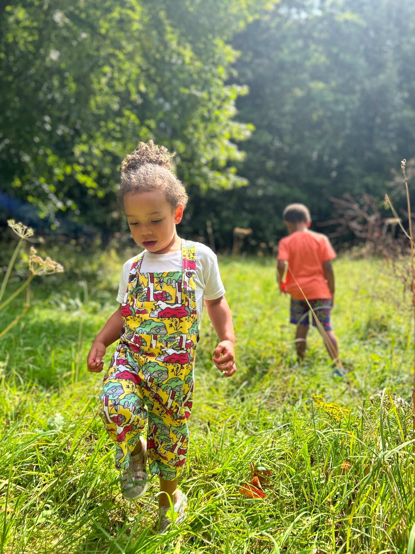 Mustard Seed print: Zion Dungarees - akwababystore